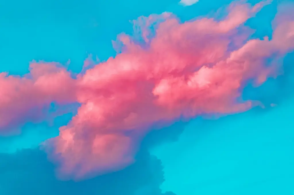 Read more about the article Cotton Candy Burrito