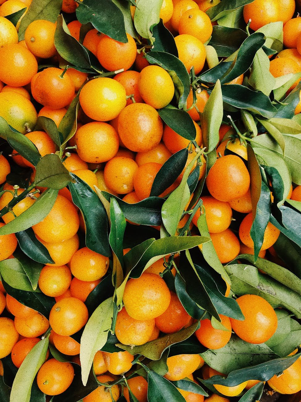 Lovely Orange Salad